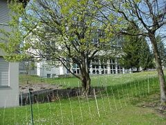 Fassade Ost