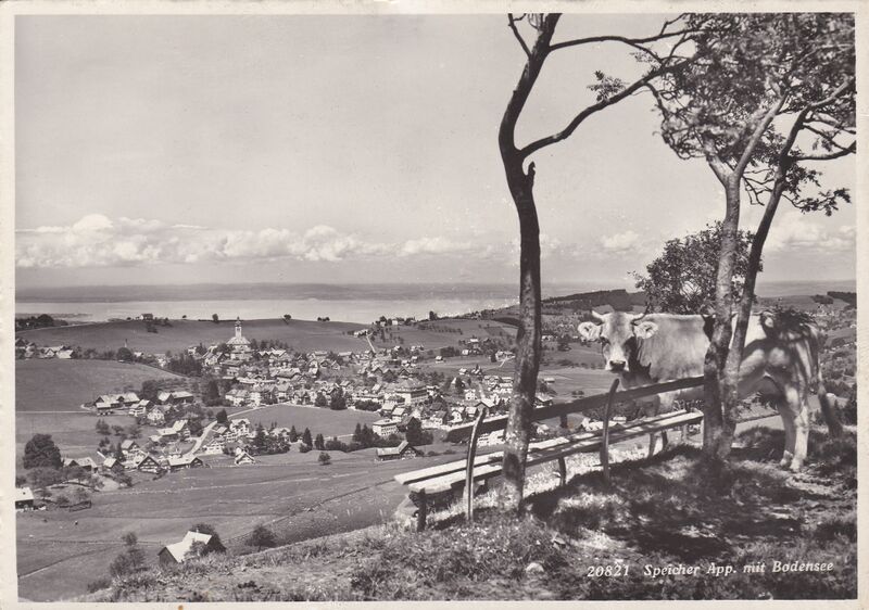 Datei:Postkarte 039.jpg