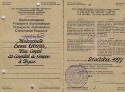 Diplomatenpass Vice-Consulin