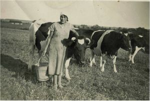 Gertrude Rodowski Melkerin für Herde von 300 Kühen.jpg