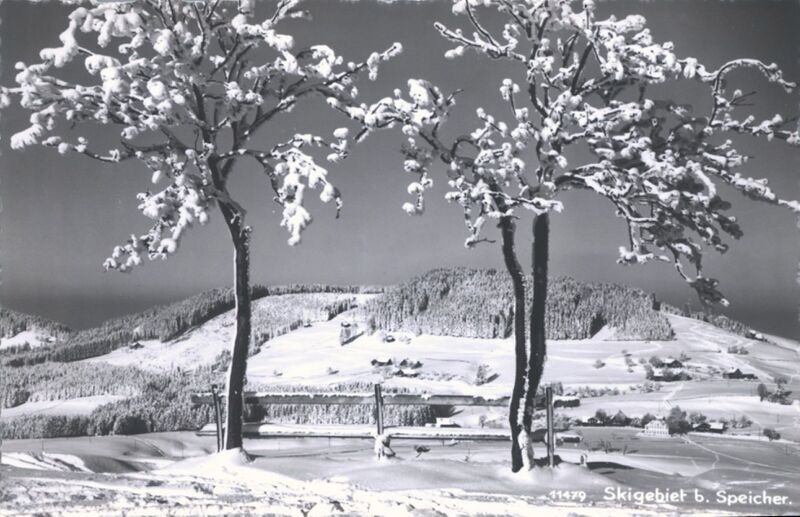 Datei:Skigebiet Neppenegg 1935 Gross.jpg
