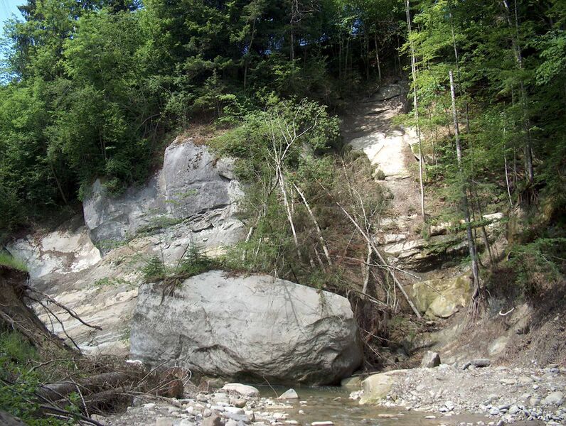 Datei:Felsrutsch Goldach.jpg