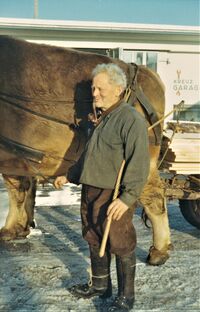 Gschwende Jöck mit Ochse