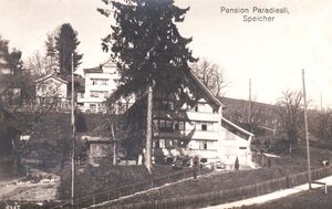 Postkarte Paradiesli 1919.jpg