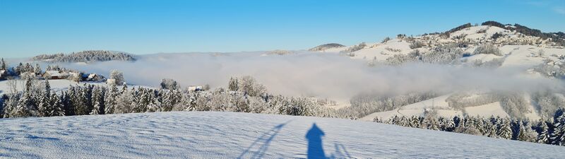Datei:Nebelmeer Goldachtobel 2.jpg