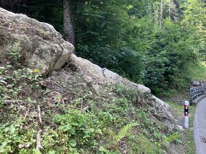 Tonablagerung Haldenstrasse b.jpeg