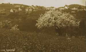 Bendlehn 1925 Tanner.jpg