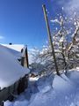 Schneemasse vor dem Haus.JPG