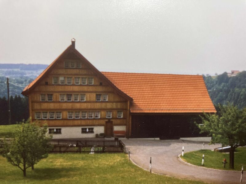 Datei:Schwanen um 1970.jpeg